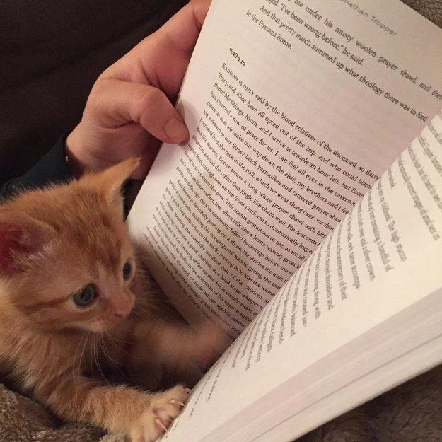 book — attachment 1