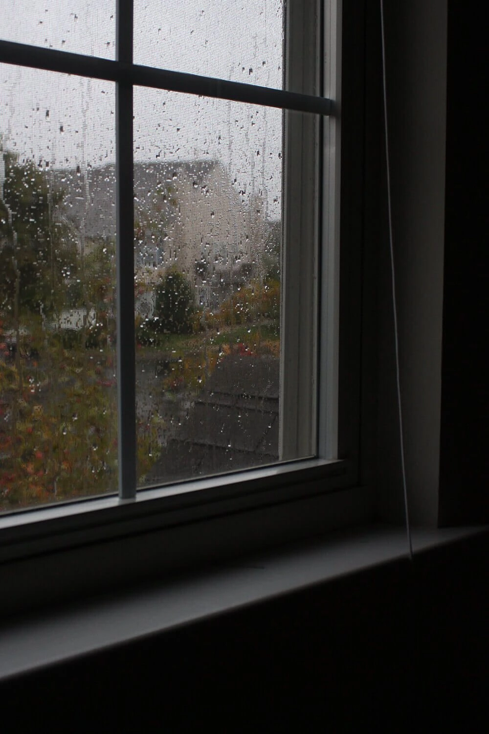 it rained and I had nowhere to be — attachment 1