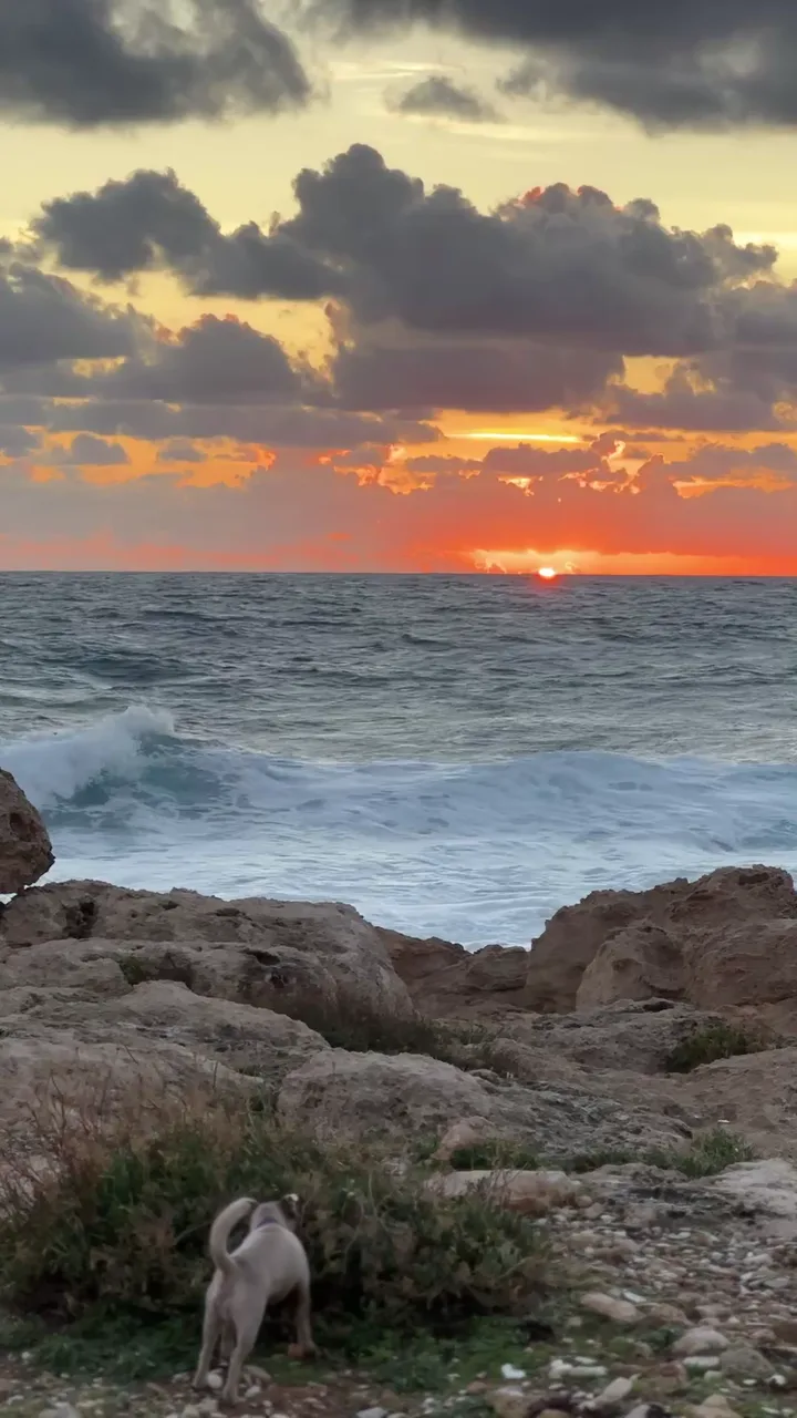 Sunsets — attachment 1