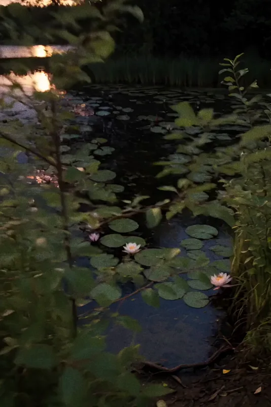 Found footage of a water nymph — attachment 1